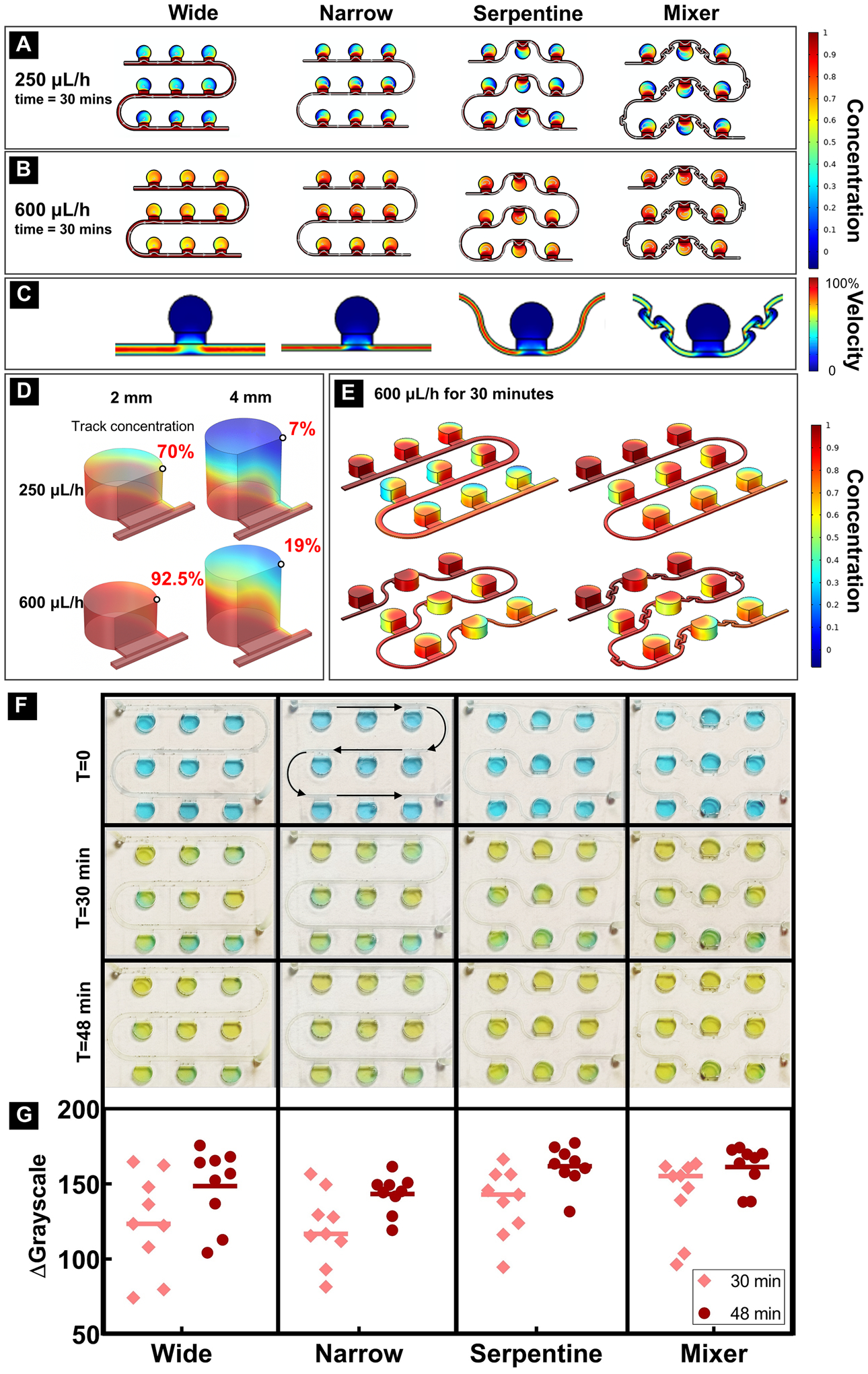 Figure 3: