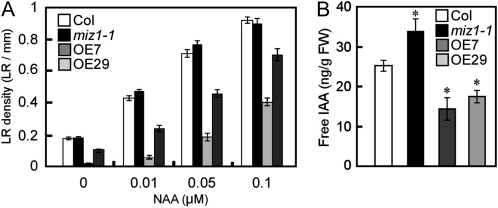 Figure 5.