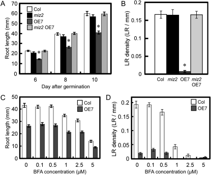 Figure 7.