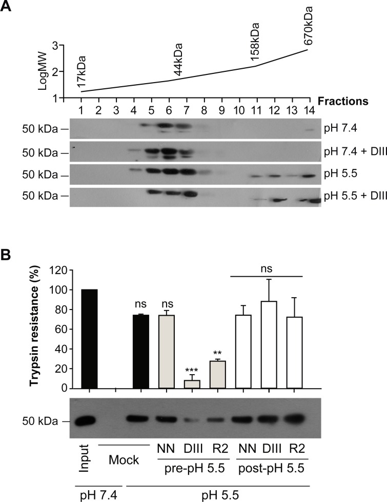 Fig 6