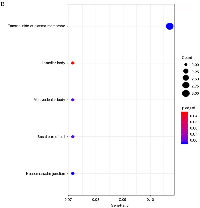 Figure 5.