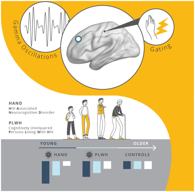 Graphical Abstract