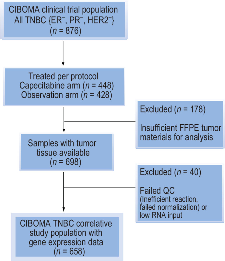 Figure 1. CONSORT flow diagram for cases included in the GEICAM/CIBOMA translational study cohort of triple-negative breast cancer. The analysis of the translational study cohort followed a prospective–retrospective design testing prespecified primary and secondary hypotheses using high-quality clinical trial materials with adherence to REMARK criteria and to the guidelines for use of archived clinical trial specimens for predictive biomarker evaluation on clinical trials.