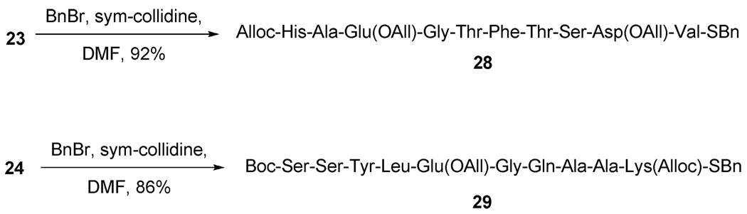 Scheme 4