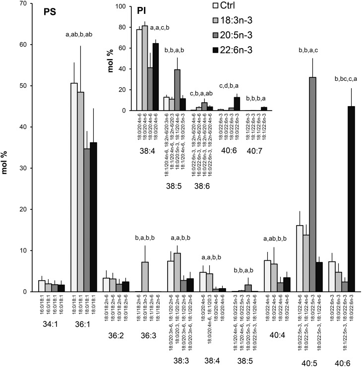 Fig. 10.