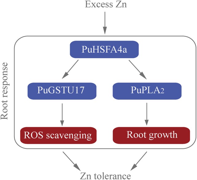 Figure 10.