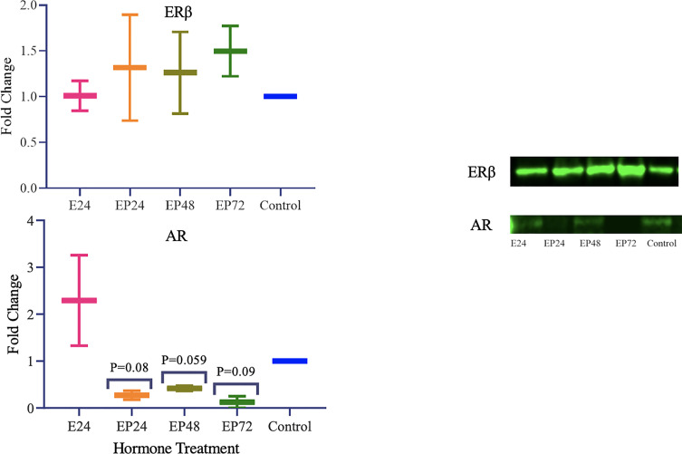 Figure 3