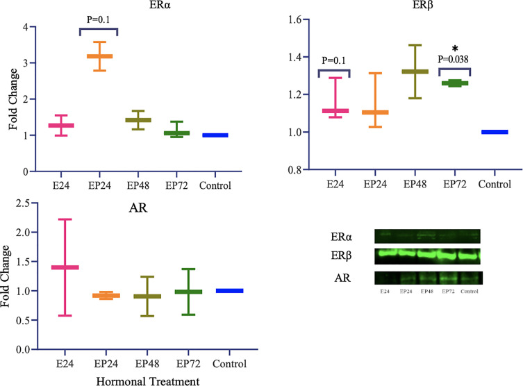 Figure 6