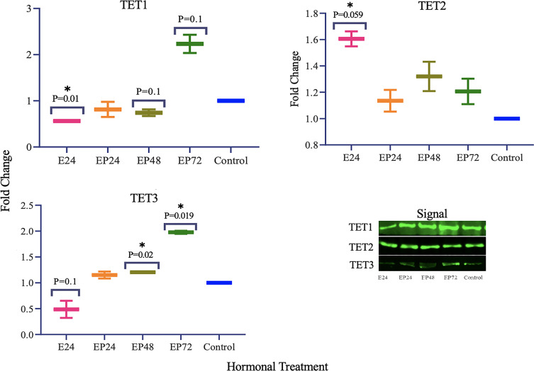 Figure 5