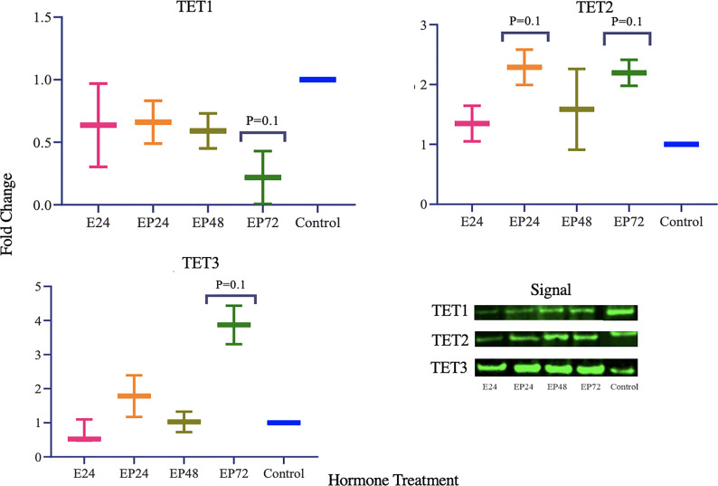 Figure 2