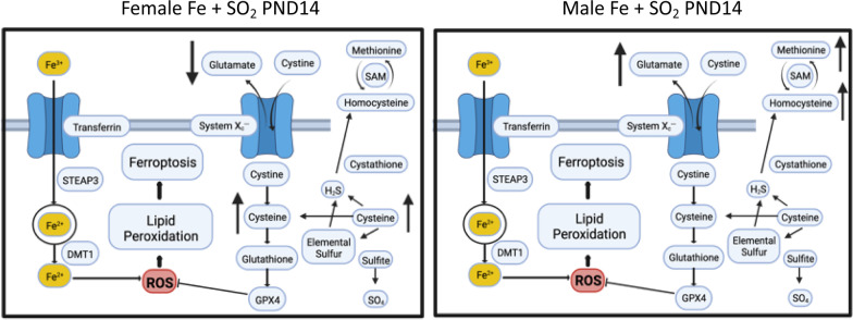 Fig. 10