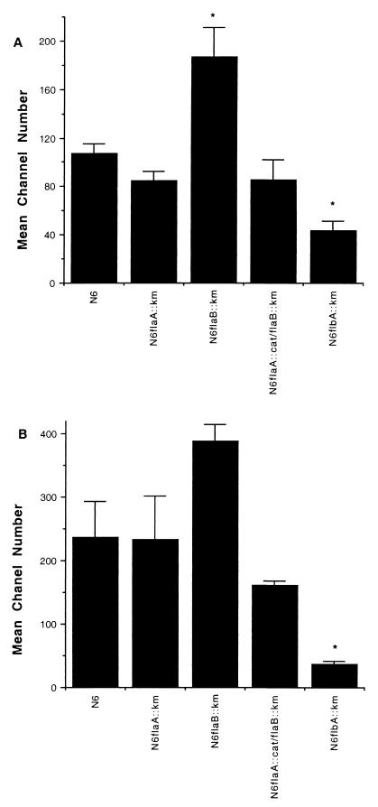 FIG. 1