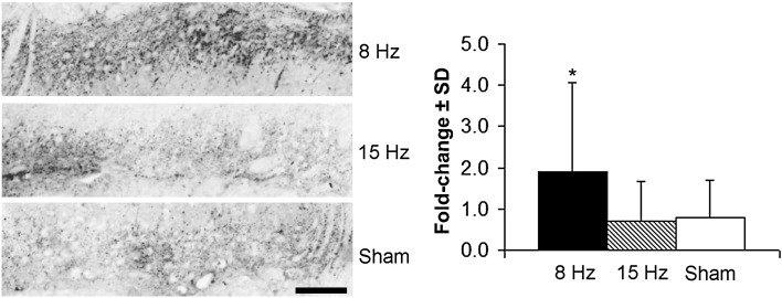 Fig. 5