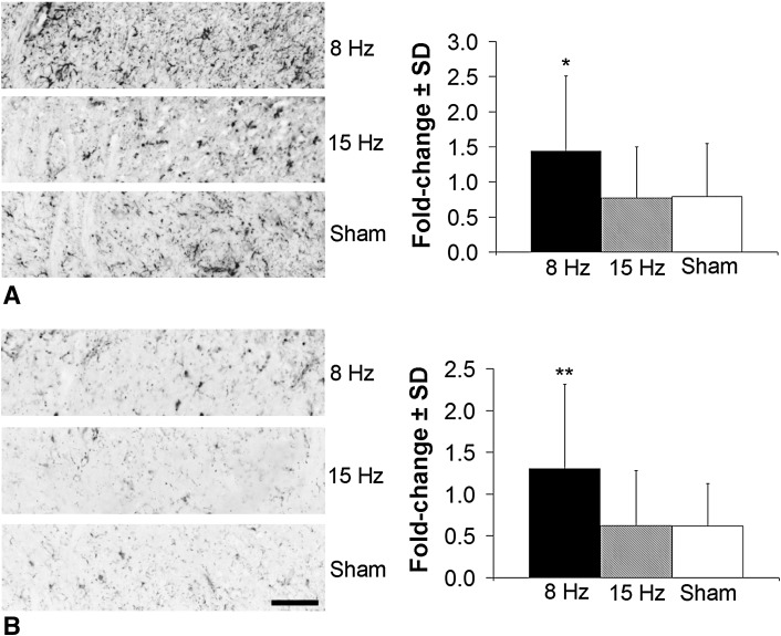 Fig. 6A–B