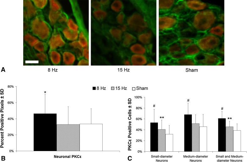 Fig. 4A–C