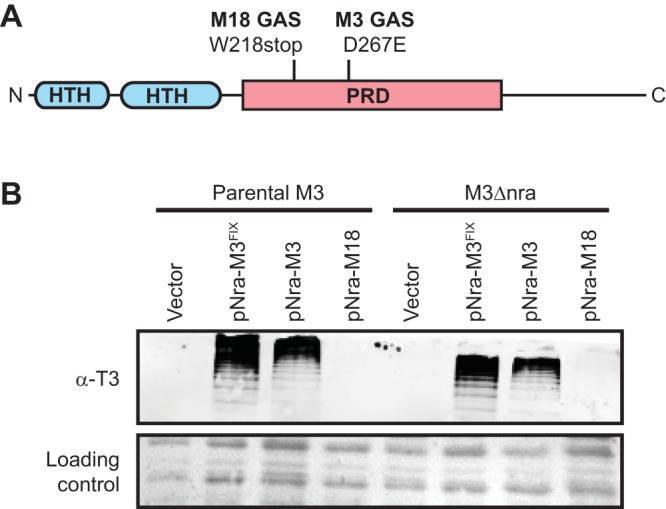 FIG 5