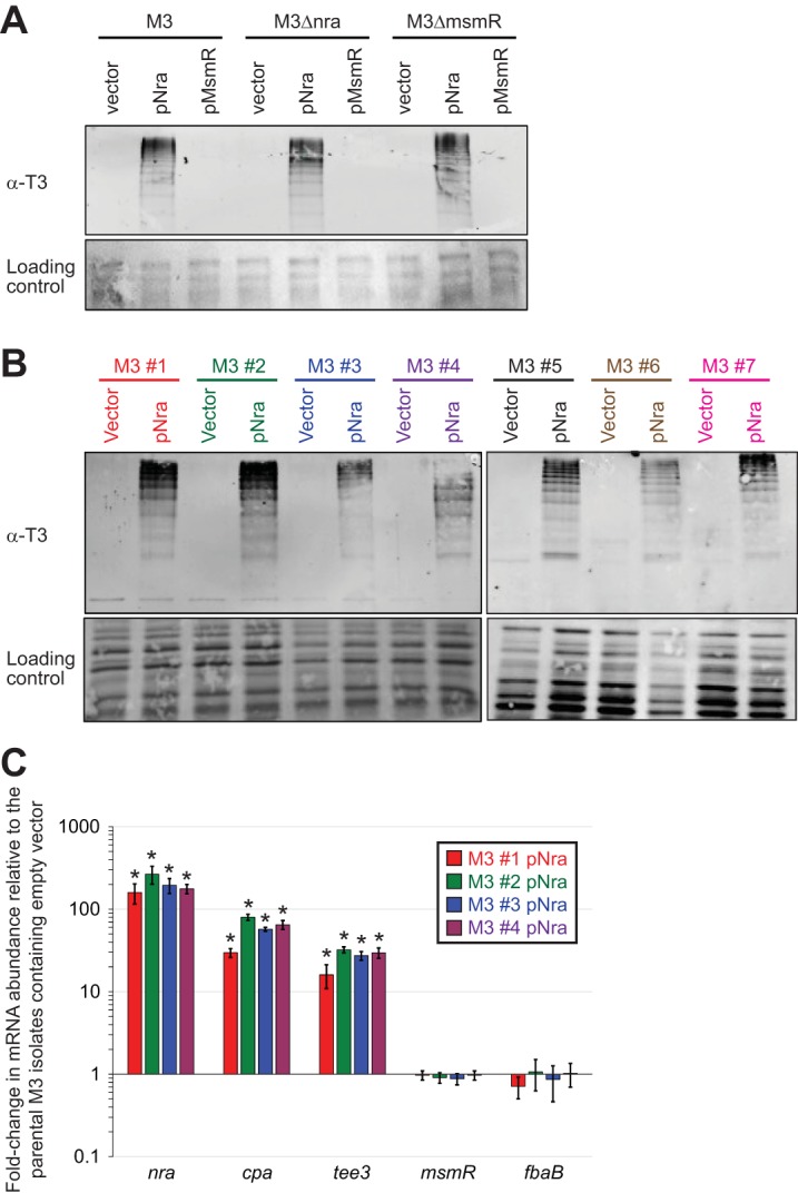 FIG 4