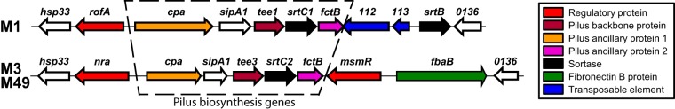 FIG 2