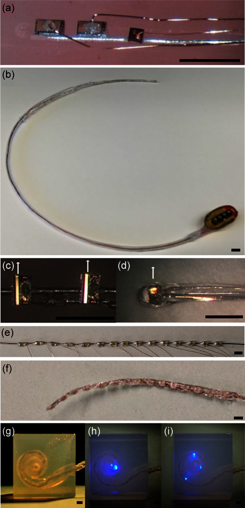 Fig. 2