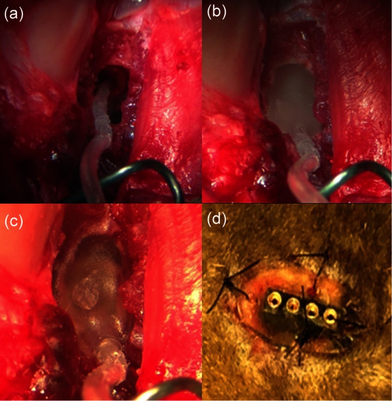 Fig. 4