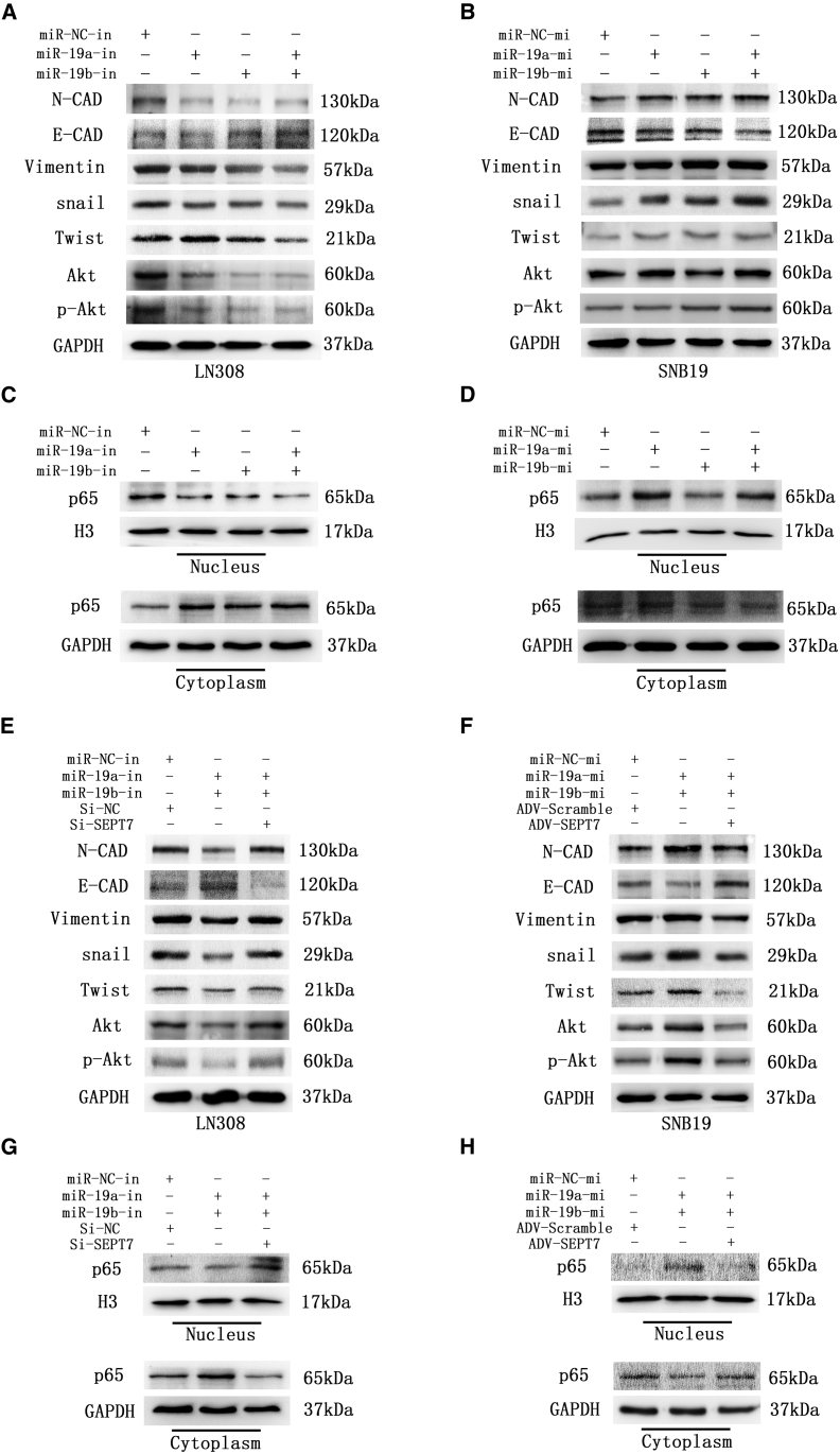 Figure 6