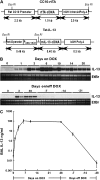 <b>Figure 1.</b>