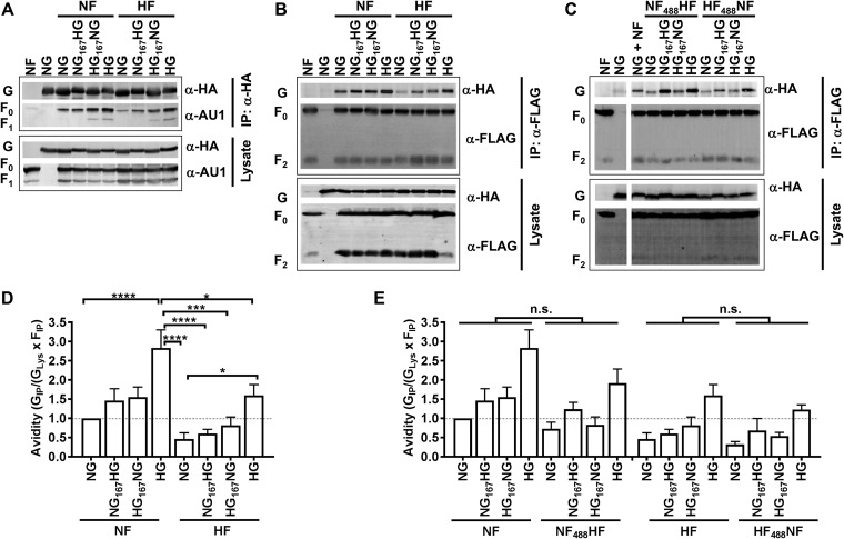 FIG 6