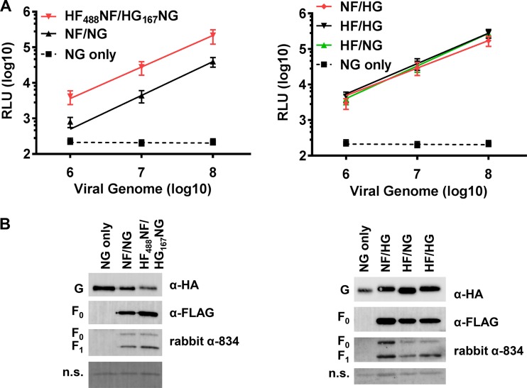 FIG 8