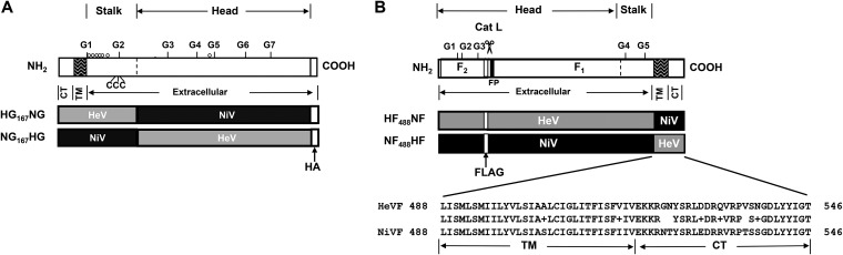 FIG 3