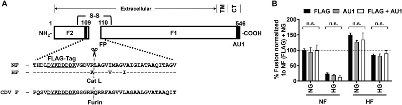 FIG 1