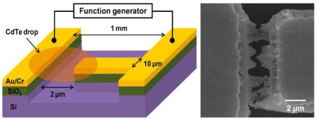 graphic file with name nihms306398u1.jpg