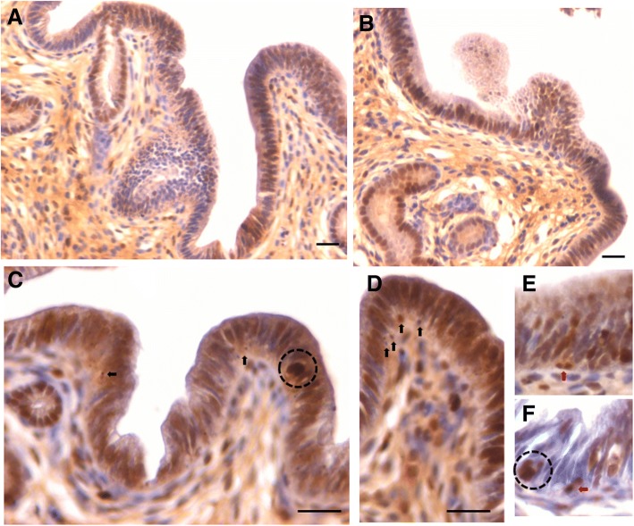 Fig. 7