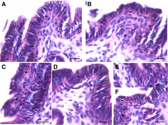 Fig. 4