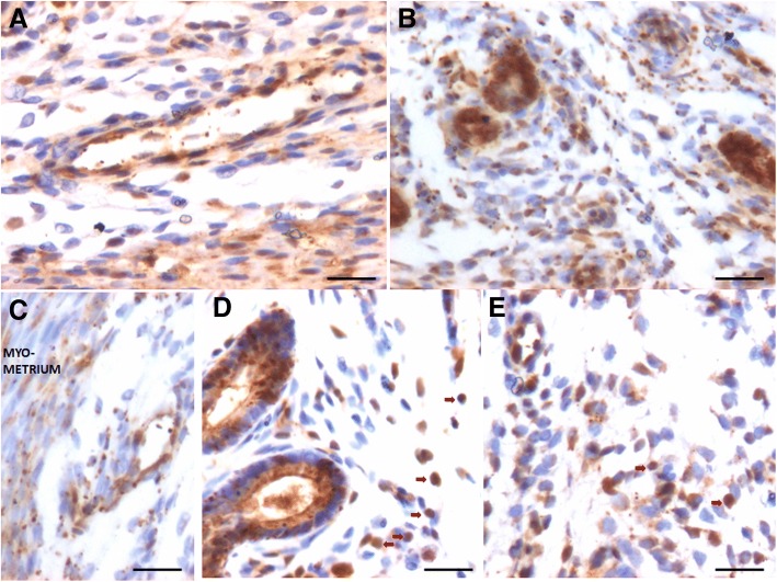 Fig. 10