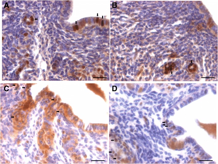 Fig. 5