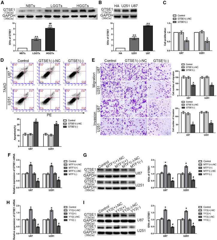 Figure 6