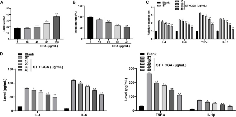 FIGURE 4