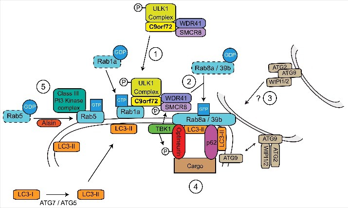 Figure 3.