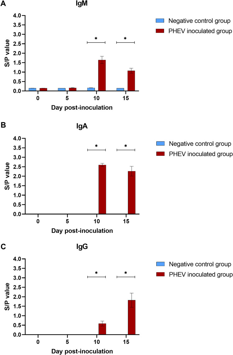 FIG 4