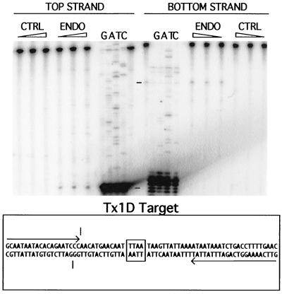 FIG. 5