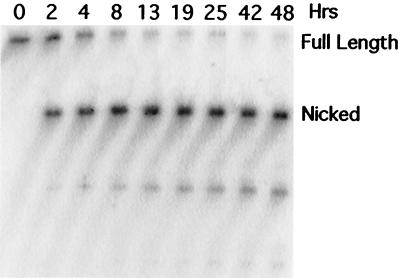 FIG. 8