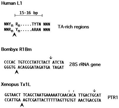 FIG. 10