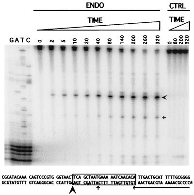 FIG. 7