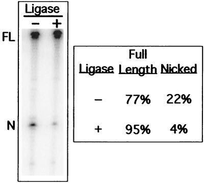 FIG. 6