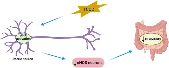 Graphical Abstract