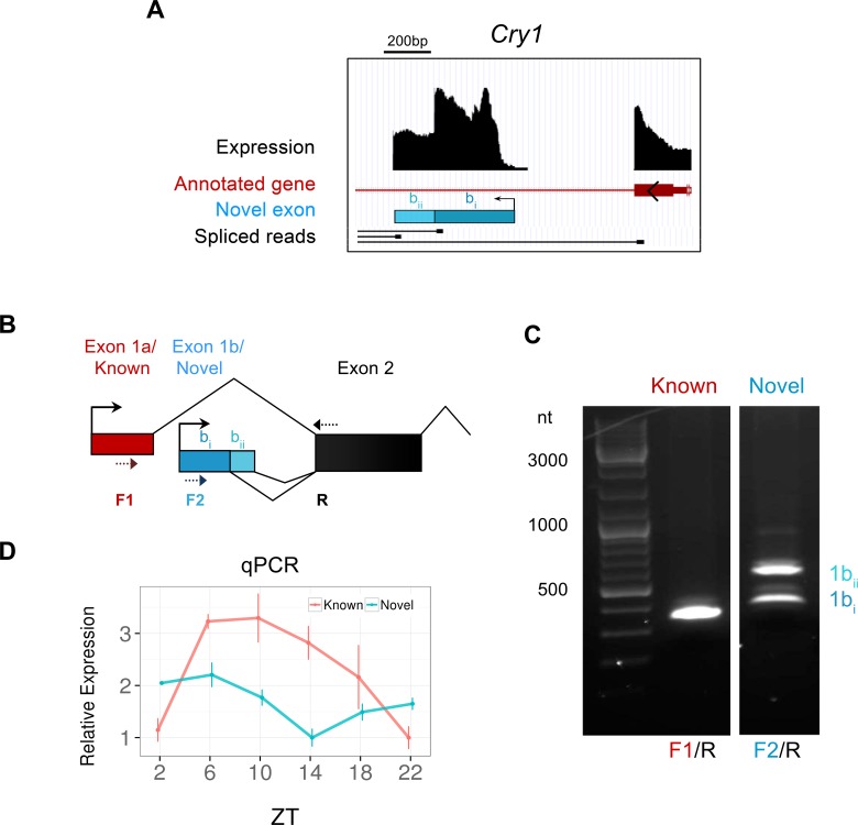 Figure 4.