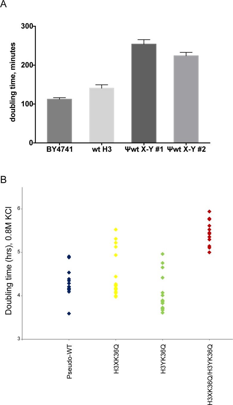 Figure 4—figure supplement 1.