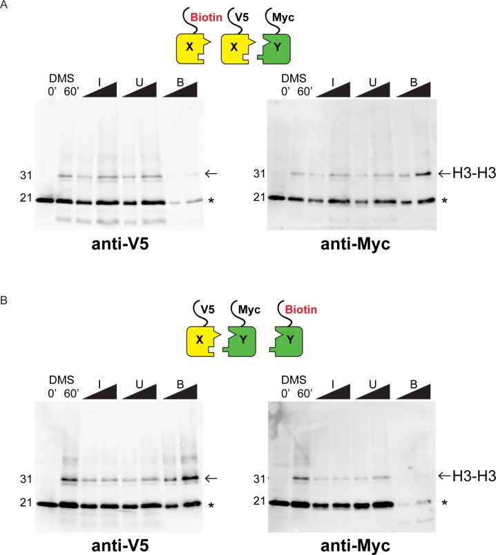 Figure 2—figure supplement 2.