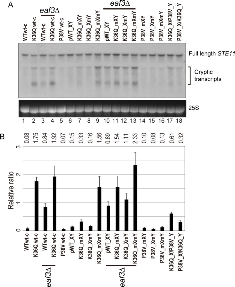 Figure 5.