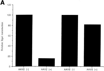 FIG. 8